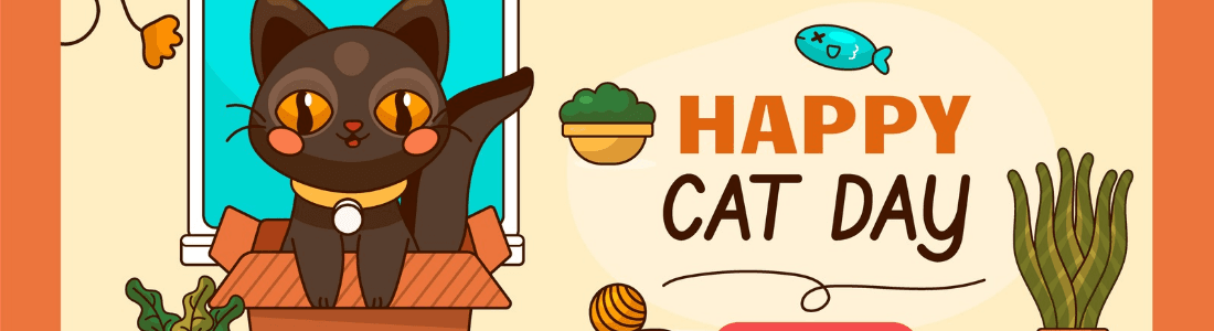 Banner for Digital shop 4